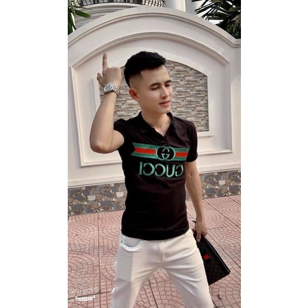 Áo Polo nam cổ bẻ GCIN chất liệt cotton cao cấp thiết kế trang trọng quý phái