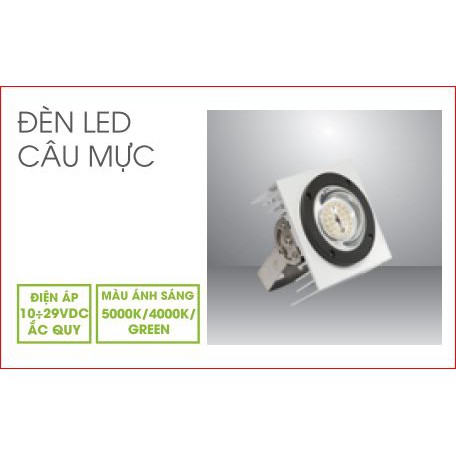 Đèn led câu mực Rạng Đông CM01L/30W - CM01L/50W