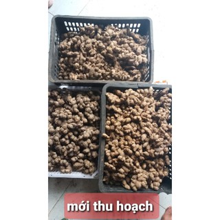 củ ngải đen tươi 1kg
