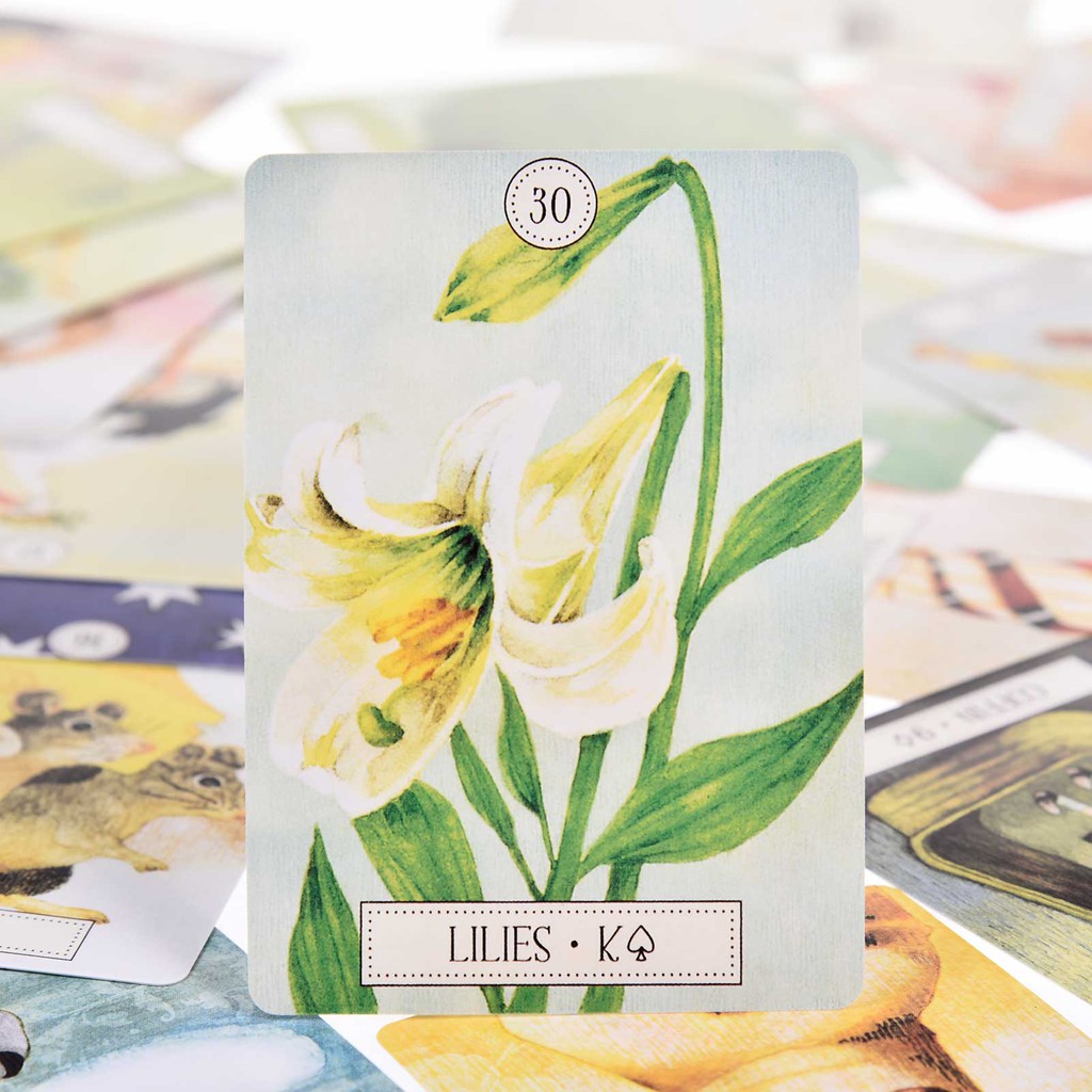 Bộ bài Tarot bói toán 36 thẻ cao cấp