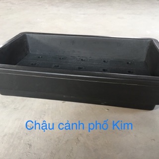 Combo 10 khay trồng rau thông minh