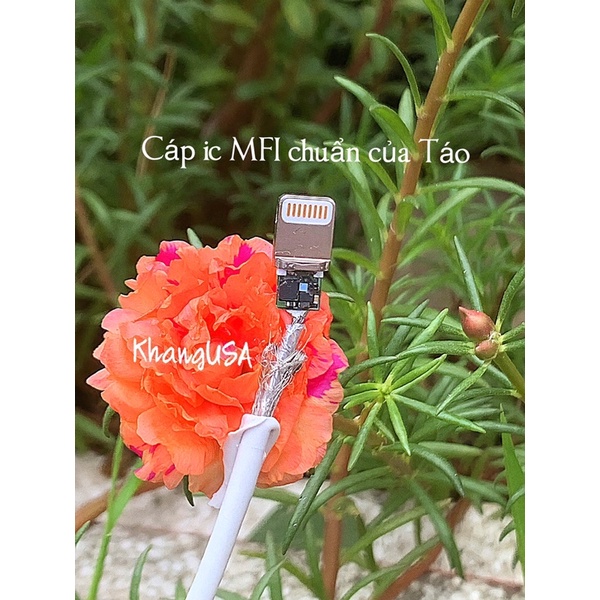 Cáp lighning I.Hope MFI 19cm
