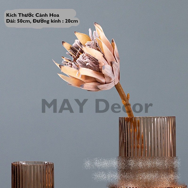 Bình Hoa Thuỷ Tinh Cao Cấp, Lọ Hoa Thuỷ Tinh Decor Trang Trí Nhà Cửa Độc Đáo | MAY Decor