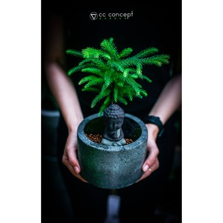 Chậu Xi Măng Đá Mài - Trụ Tròn