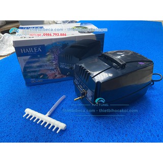 Máy Sủi Khí Tích Điện Hailea CP 60. Thời Gian Hoạt Động Của Máy Lên Đến 10 Giờ Đồng Hồ