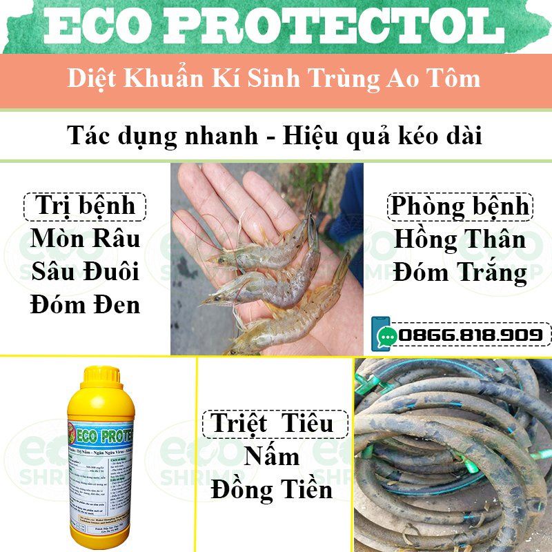 Chất Diệt Khuẩn - Nấm Đồng Tiền ,Mòn Râu Sâu Đuôi ,ghẻ ,Đốm Đen Sạch Nhớt Bạt# ECO PROTECTOL chai 1Lit