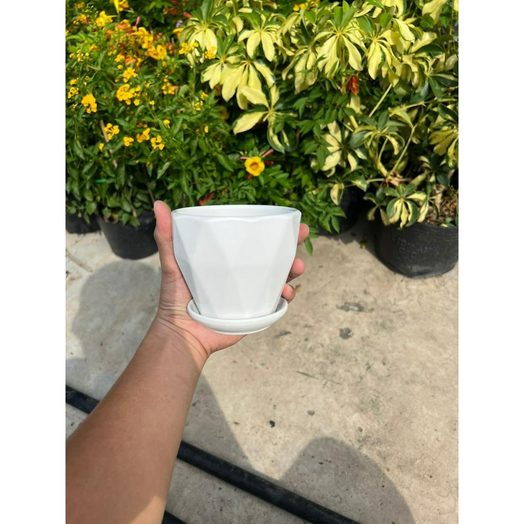 Chậu sứ trồng cây XUAN DONG GARDEN kèm đĩa hứng nước, chậu trồng cây đẹp để bàn, cây văn phòng