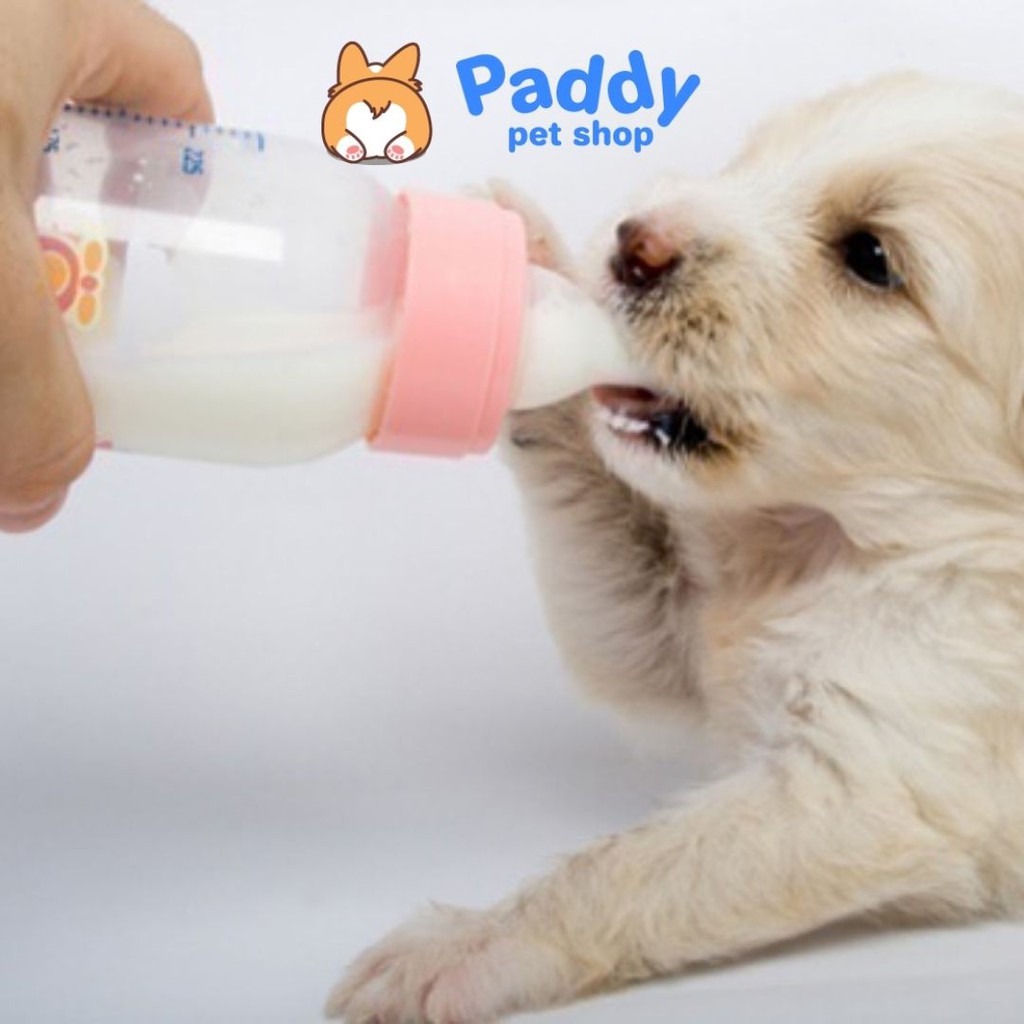 Sữa Tươi Pets Own Bổ Sung Glucosamine Cho Chó Mèo Mọi Độ Tuổi 1L (Nhập khẩu Úc)