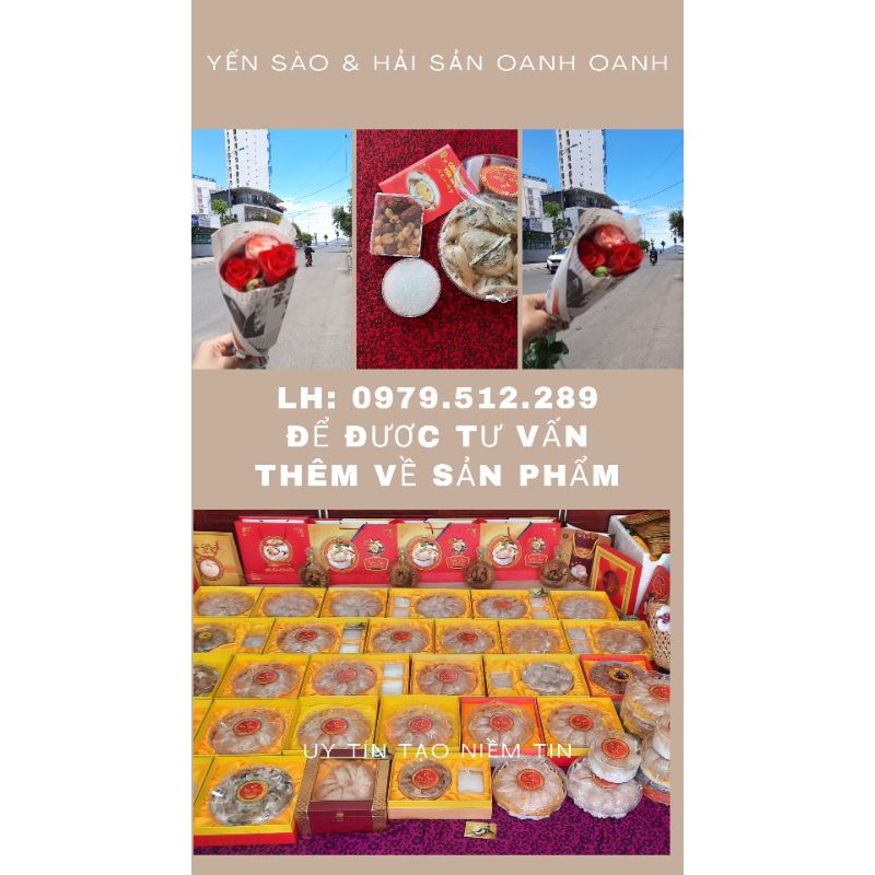 Set 50gr yến Thô tổ nguyên chất tặng kèm đồ chưng