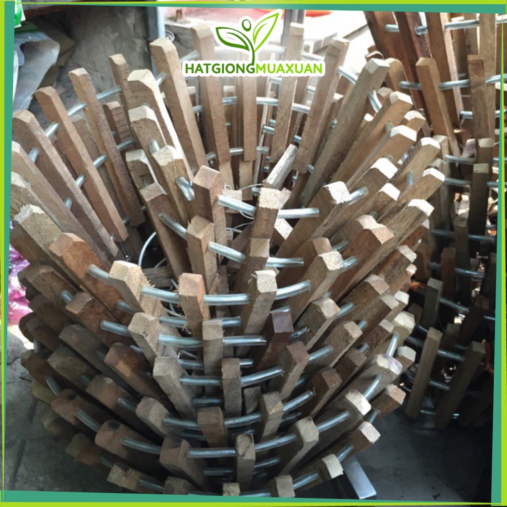 [SIEURE] Chậu gỗ trồng lan đường kính 27cm hàng đẹp, phân phối chuyên nghiệp.