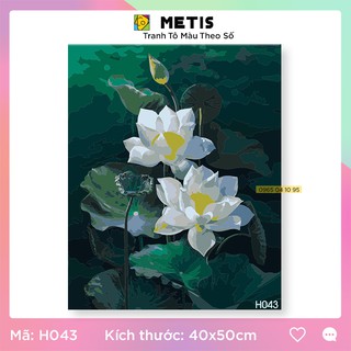 Tranh Tô Màu Sơn Dầu Treo Tường Phòng Khách Chủ Đề Hoa Sen Có Khung Dễ Tô