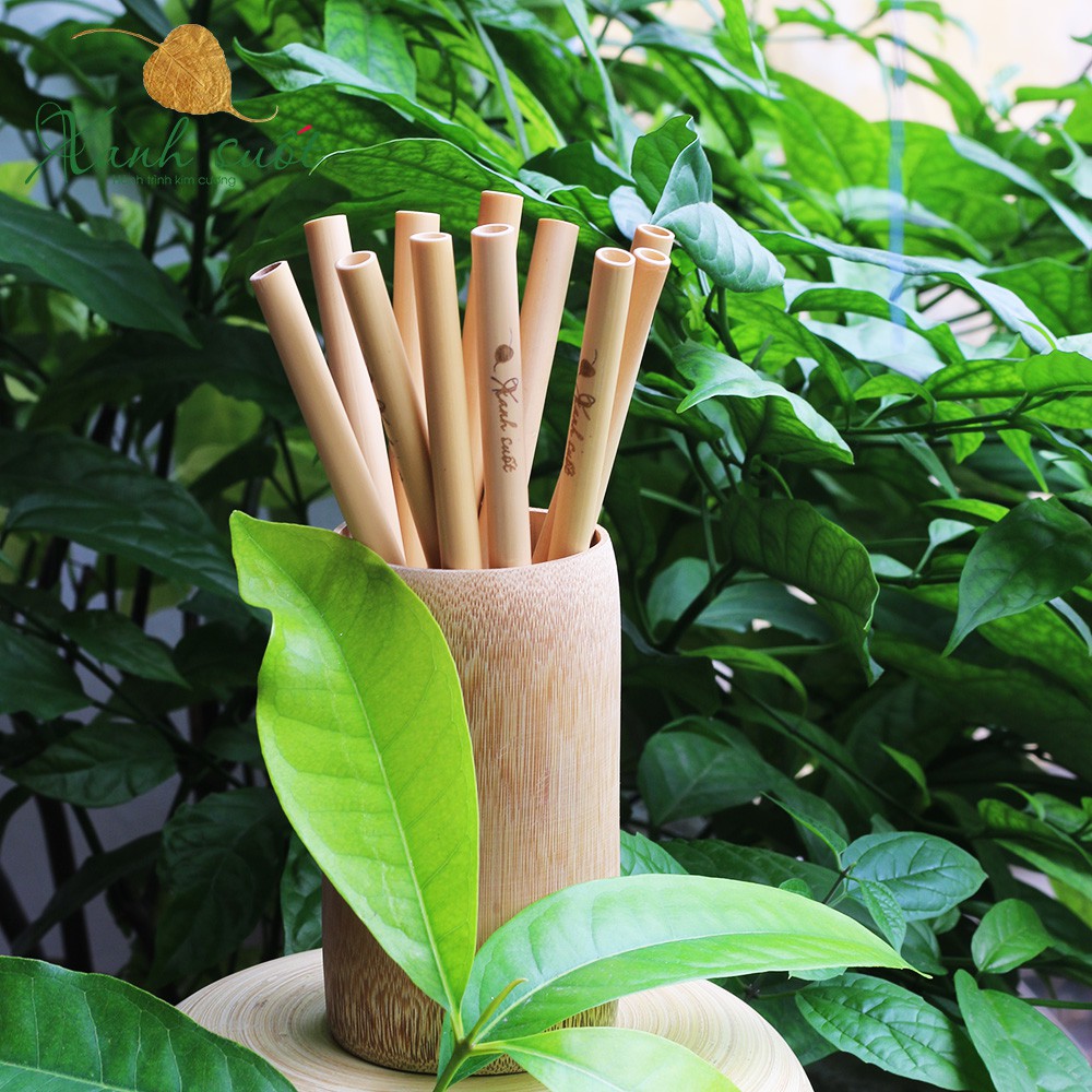 Ống Hút Tre - Jungle Straws Bamboo