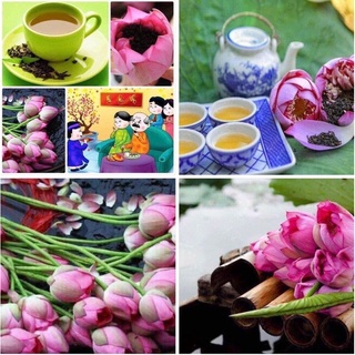 Trà Ướp Bông Sen Tây Hồ Bà Chèm