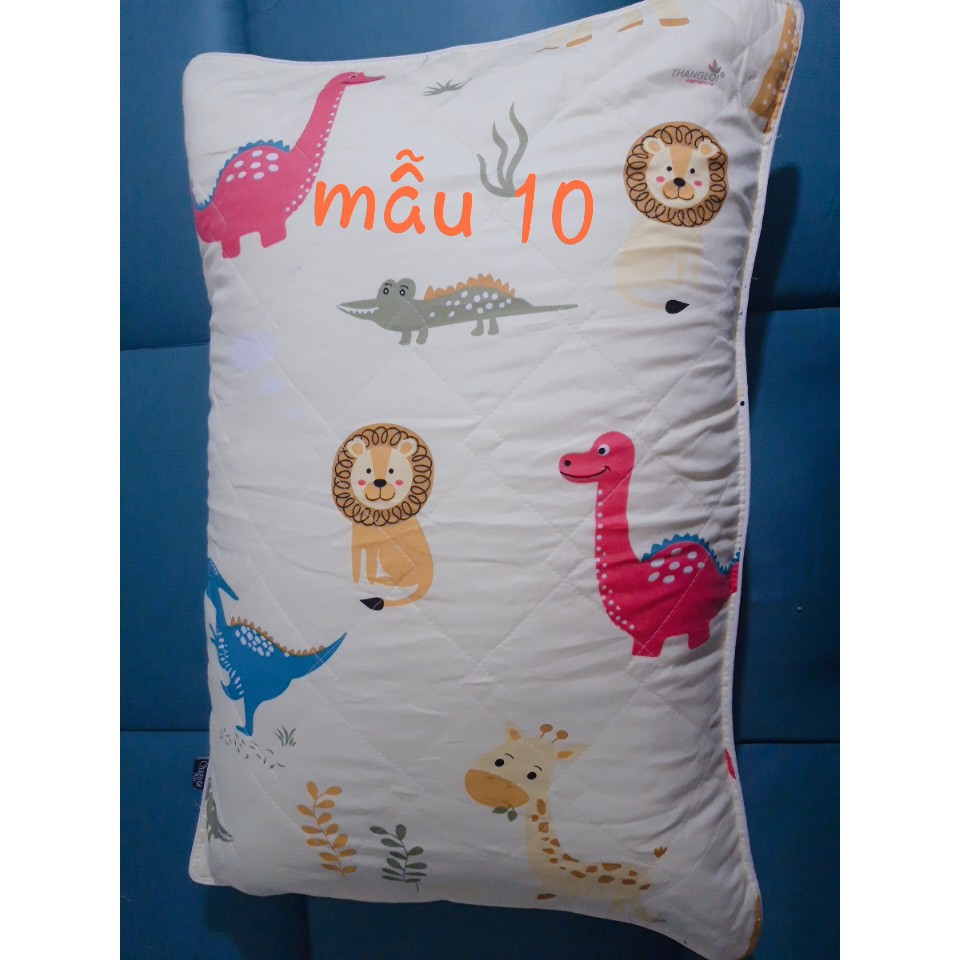 COMBO RUỘT GỐI + ÁO GỐI COTTON THẮNG LỢI KÍCH THƯỚC 50x70cm