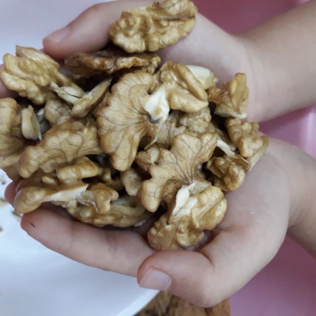 QUẢ ÓC CHÓ