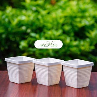 Chậu nhựa vuông dày dặn trồng tiểu cảnh sân vườn