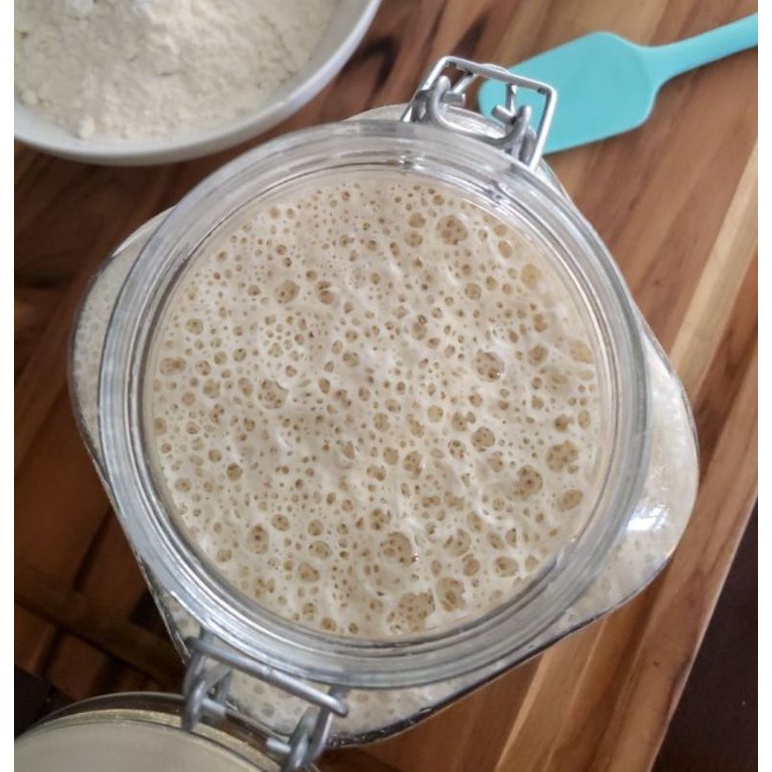 Combo 1 thìa sừng trâu tự nhiên và 200g con giống men sourdough tươi tặng kèm công thức đồ uống