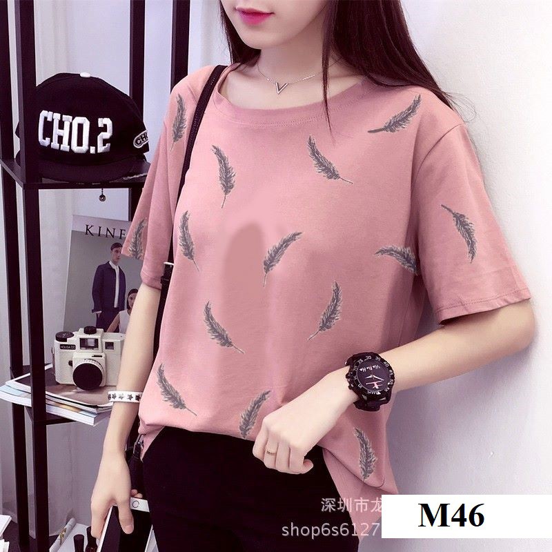 Áo Thun Nữ [CHẤT MÁT, KHÔNG XÙ] Áo phông nữ hàn quốc tay ngắn dễ thương, xinh xắn | BigBuy360 - bigbuy360.vn