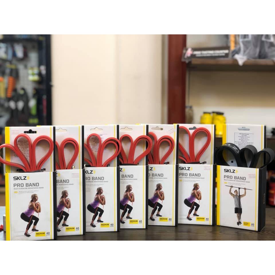 Dây kháng lực tập gym PRO BANDS SKLZ