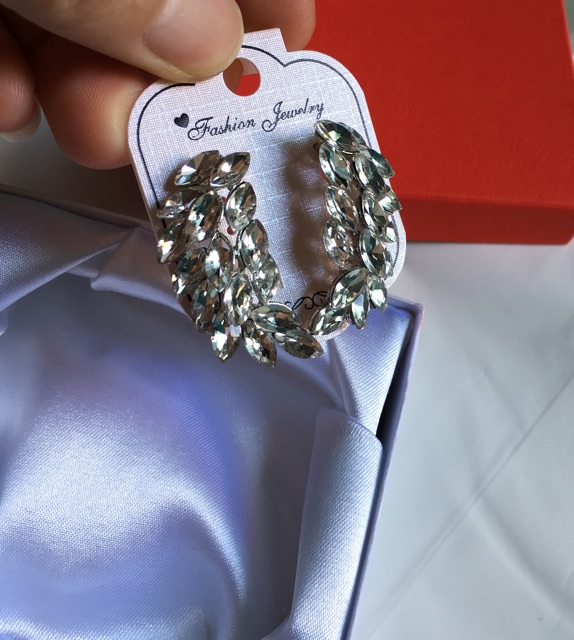 Bông tai thời trang BF146