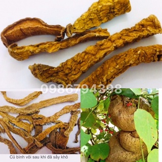 Củ bình vôi khô loại đẹp 1kg