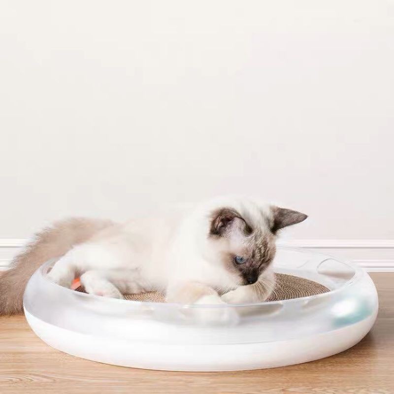 Bàn cào móng Petkit cho chó mèo