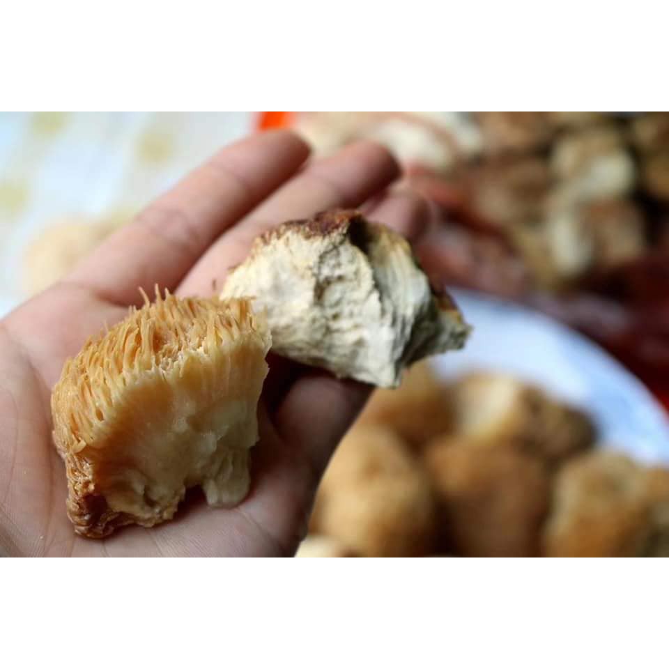 Nấm Đầu Khỉ  - Nấm Hầu Thủ món ăn cho dạ dày Bịch to 250g
