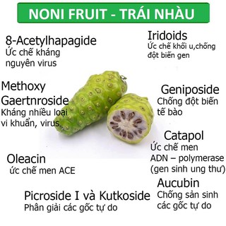 Bột Nhàu (100% NoNi) Nguyên Chất  250gr