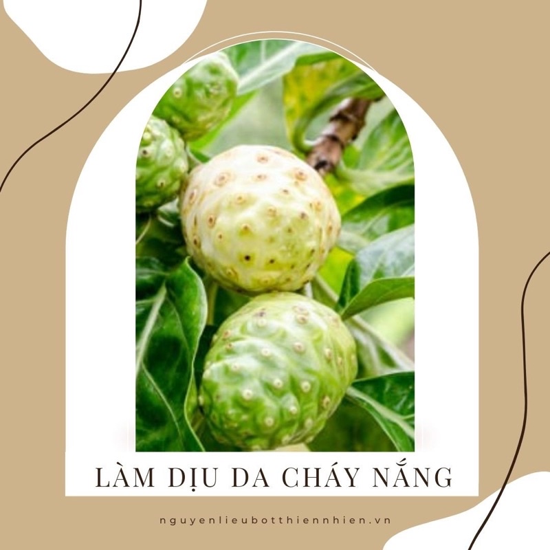 Bột Trái Nhàu