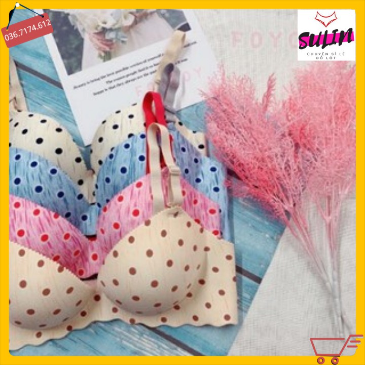 [SIÊU SALE] COMBO 139K /3 Áo lót nữ đúc su chấm bi | BigBuy360 - bigbuy360.vn