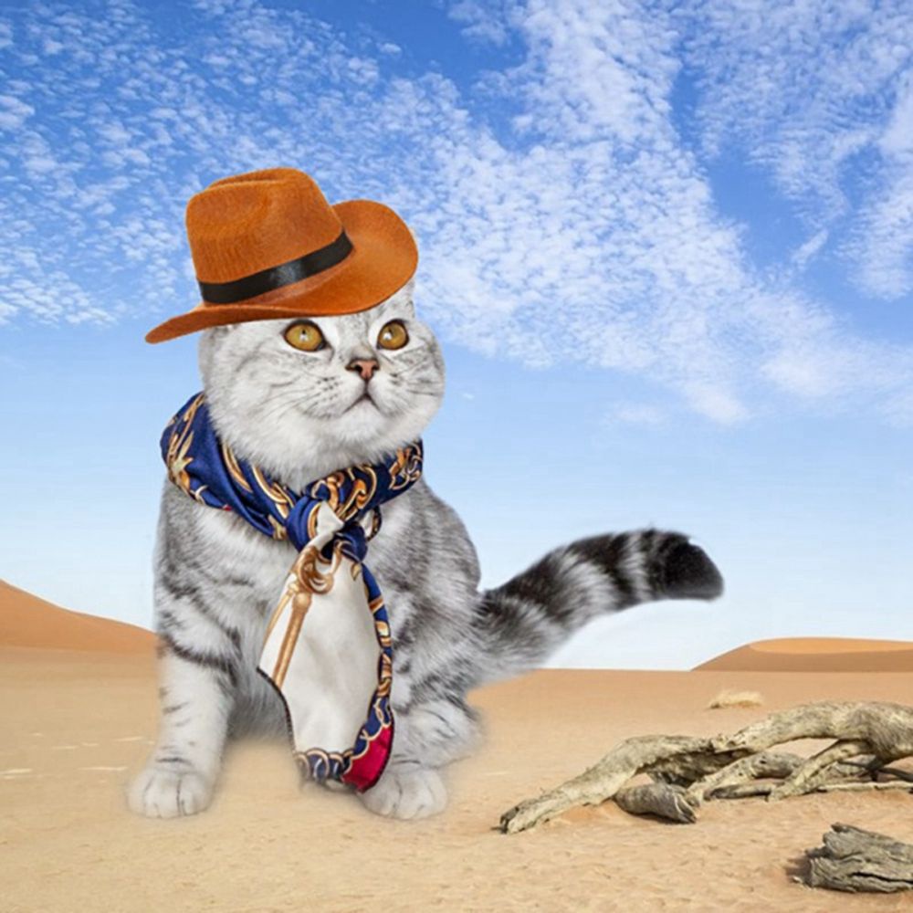 YIYU Mũ cao bồi vui nhộn trang trí cho thú cưng 1 tuổi