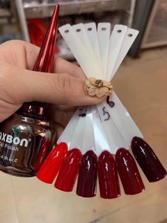 Sơn đỏ mxbon ( set 6 màu) - Phụ kiện Nail