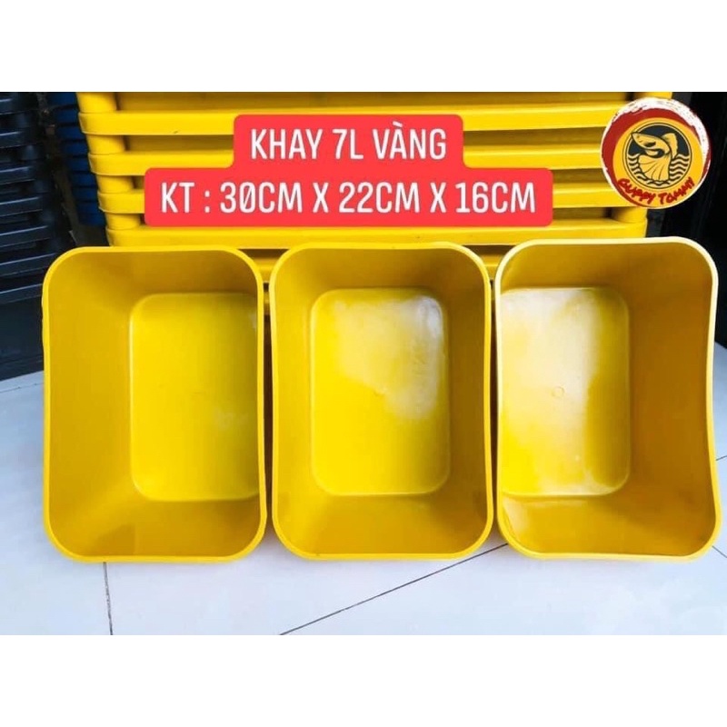 Khay Nhựa 7 Lít, Ép Cá, Nuôi Cá Con 30×22×16