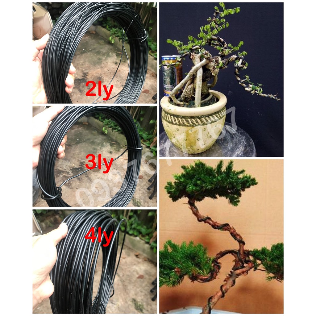 1Kg Dây nhôm đen dẻo chuyên uốn cây bonsai, cây cảnh 2ly - 3ly - 4ly - 5ly