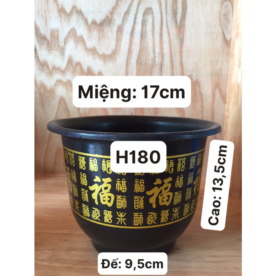 5 CHẬU NHỰA TRỒNG HOA MẪU CHỮ PHÚC #H180 (KÍCH RỄ MẦM CÂY ,KEO LIỀN SẸO ,BẠT PHỦ ĐẤT CHỐNG CỎ MỌC...)