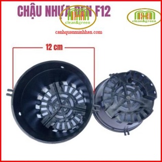 Combo 10 chậu nhựa đen trồng lan phi 12