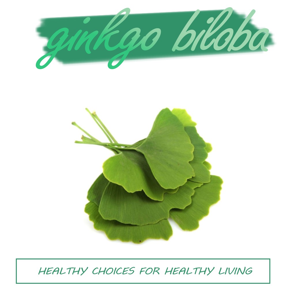 Tuần hoàn não Ginkgo Biloba 60mg 120 viên