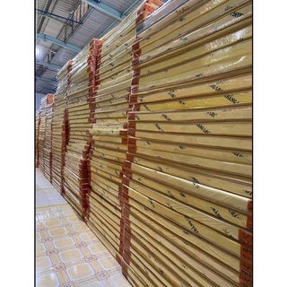NỆM CAO SU NON THẮNG LỢI ( HÀNG CHÍNH HÃNG)