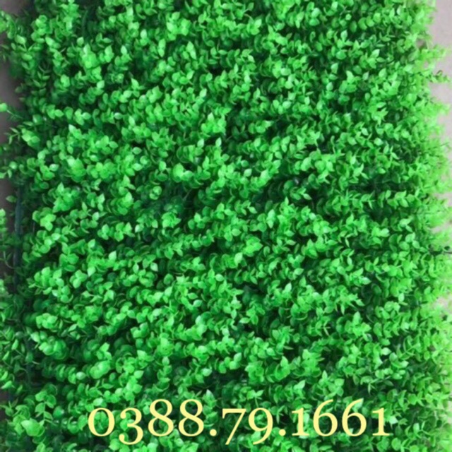 cỏ nhân tạo , cỏ tấm trang trí 40cm x 60cm