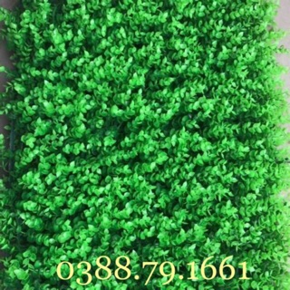 cỏ nhân tạo , cỏ tấm trang trí 40cm x 60cm