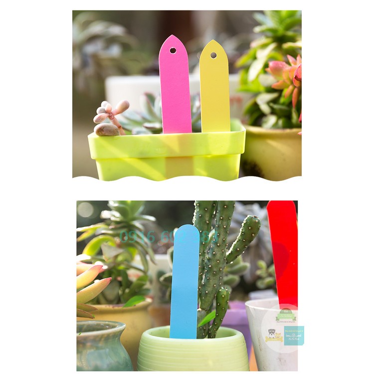 [100 cái] Thẻ ghi tên cây, thẻ ghi tên hoa Lan