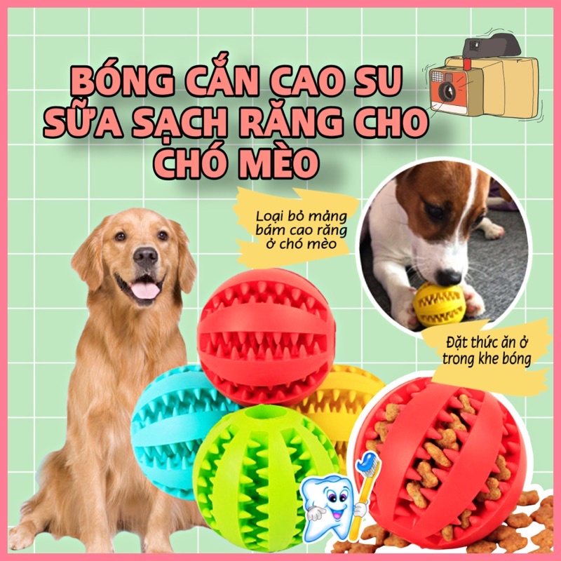 Quả Bóng Đồ Chơi Chống Cắn Làm Sạch Răng Cho Thú Cưng