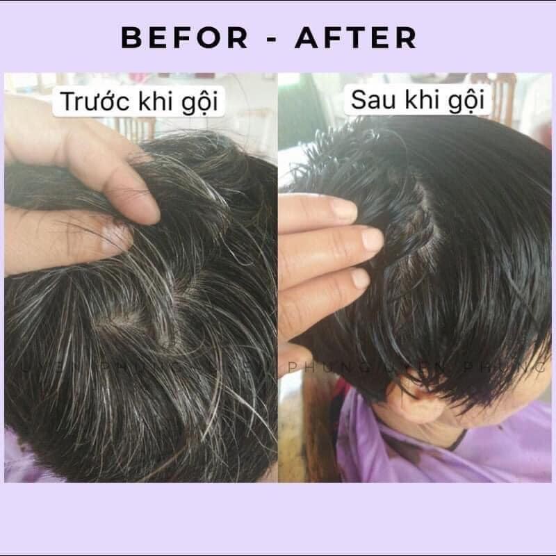 [Thiên nhiên không hóa chất]Dầu Gội Thảo Dược Phủ Bạc | BigBuy360 - bigbuy360.vn