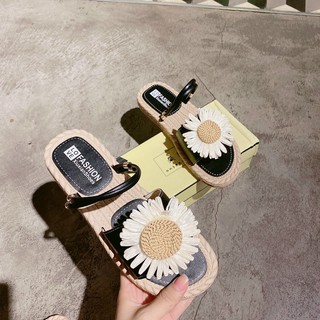 Sandan hoa cúc đế cói- Siêu cute