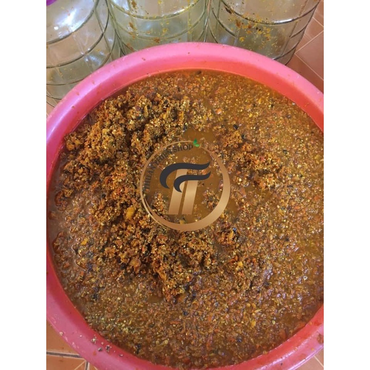 GỪNG NGHỆ GẤC HẠ THỔ
