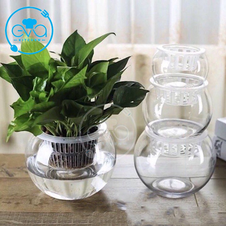 Hồ Cá Thuỷ Tinh Tròn Bầu 24 x 16 Cm T02 Tặng Kèm Sỏi Và Rong Trang Trí