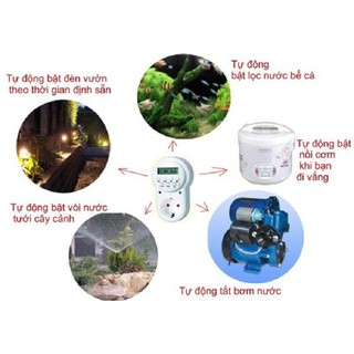Ổ cắm điện Hẹn giờ AL06
