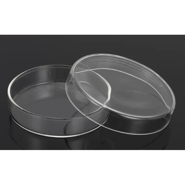 Chén cho tép cá ăn- Chén đựng thức ăn cho tép cá- Phụ kiện thủy sinh