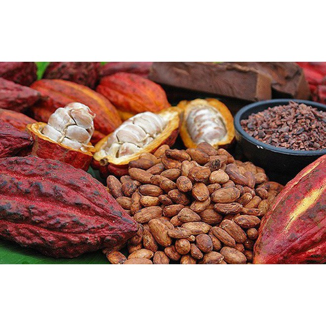 500Gr Bột Ca cao nguyên chất – Cacao không đường, không tạp chất hay hương liệu