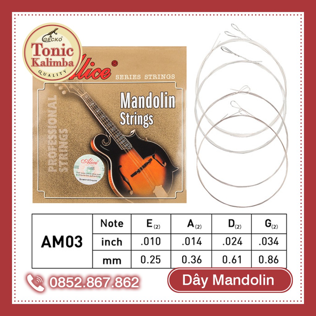 Dây đàn Mandolin Alice AM03 dây đàn thay thế cho đàn Mandolin